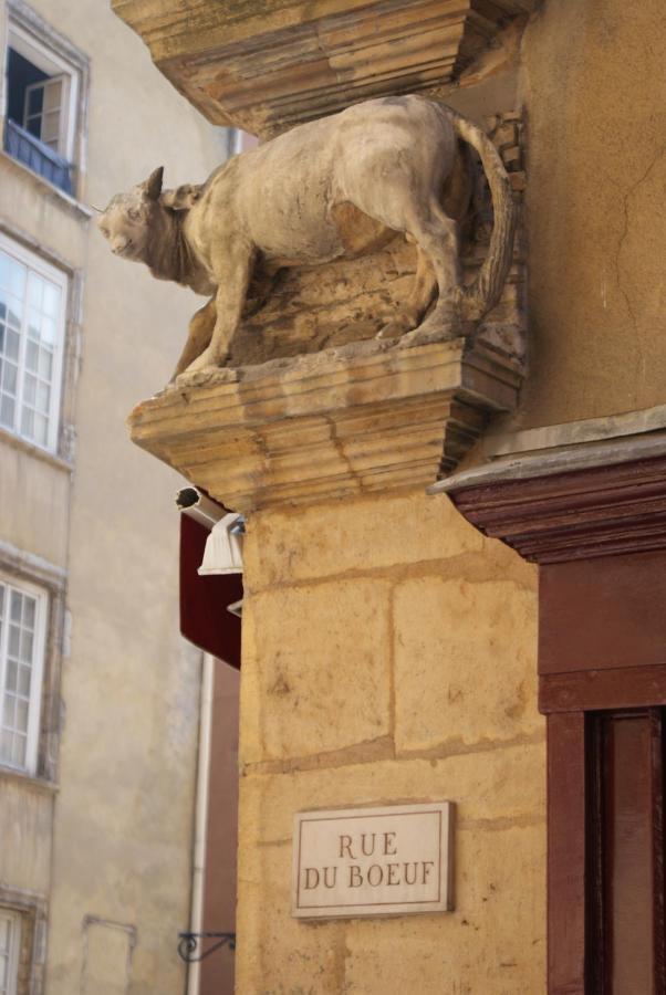 Gite L'Outarde Lyon Kültér fotó